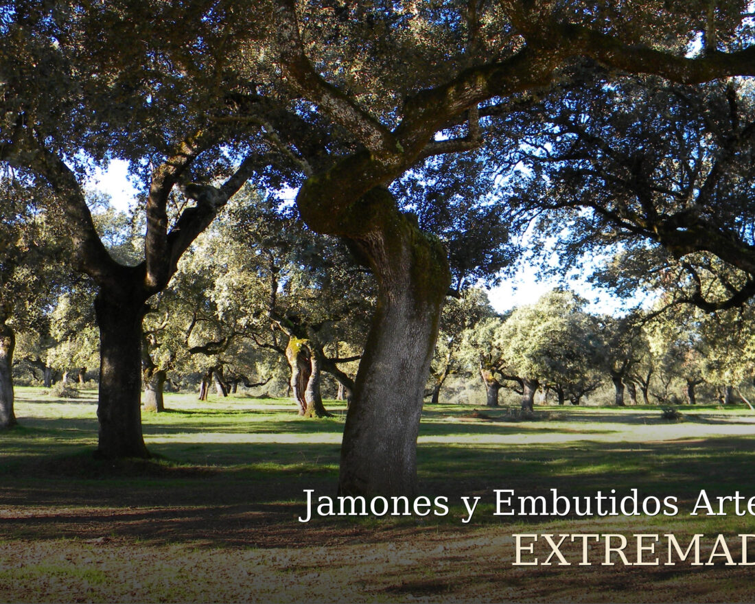dehesa-de-extremadura