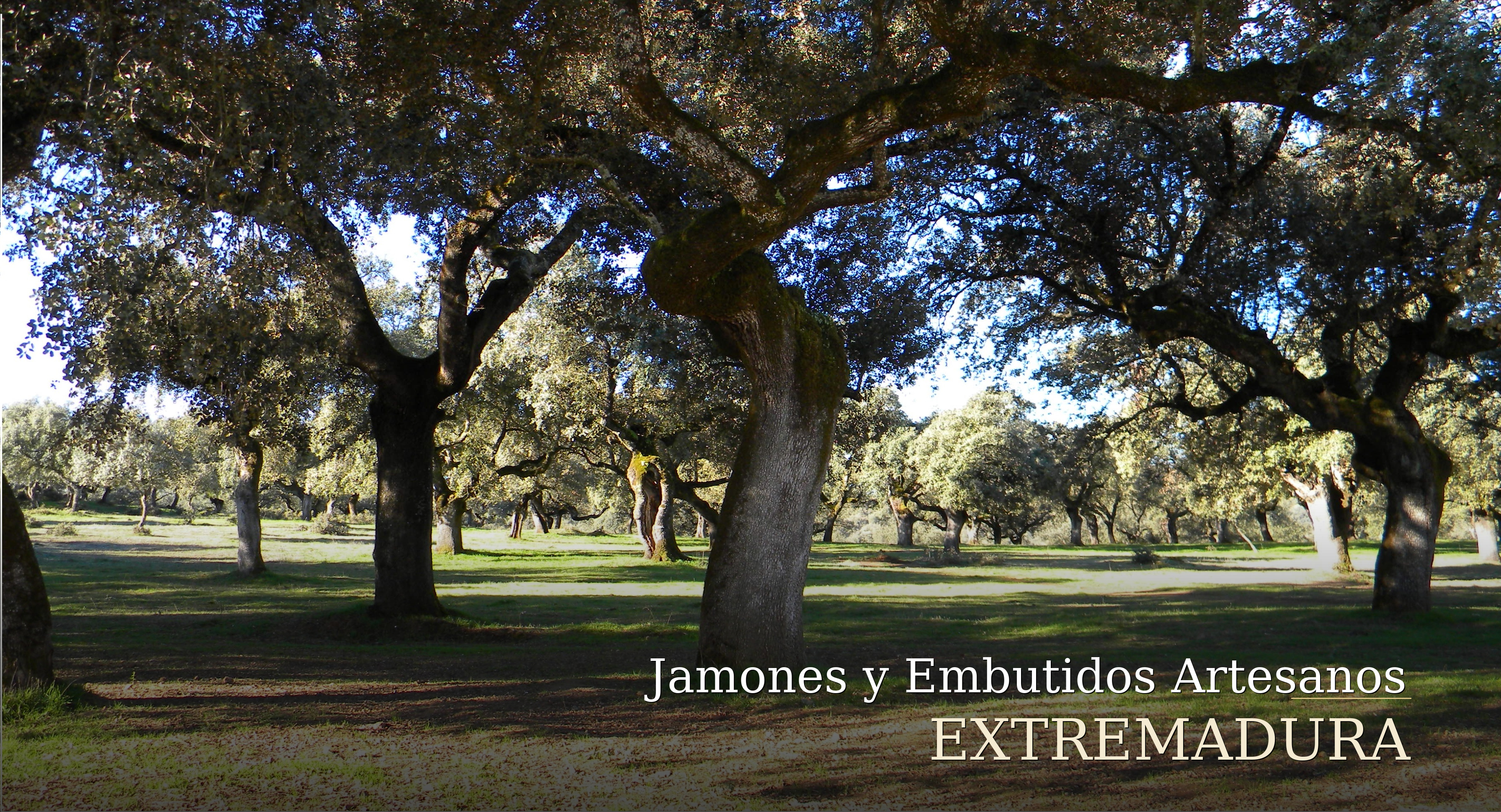 dehesa-de-extremadura